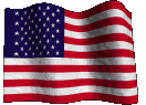United States 50 Star Flag